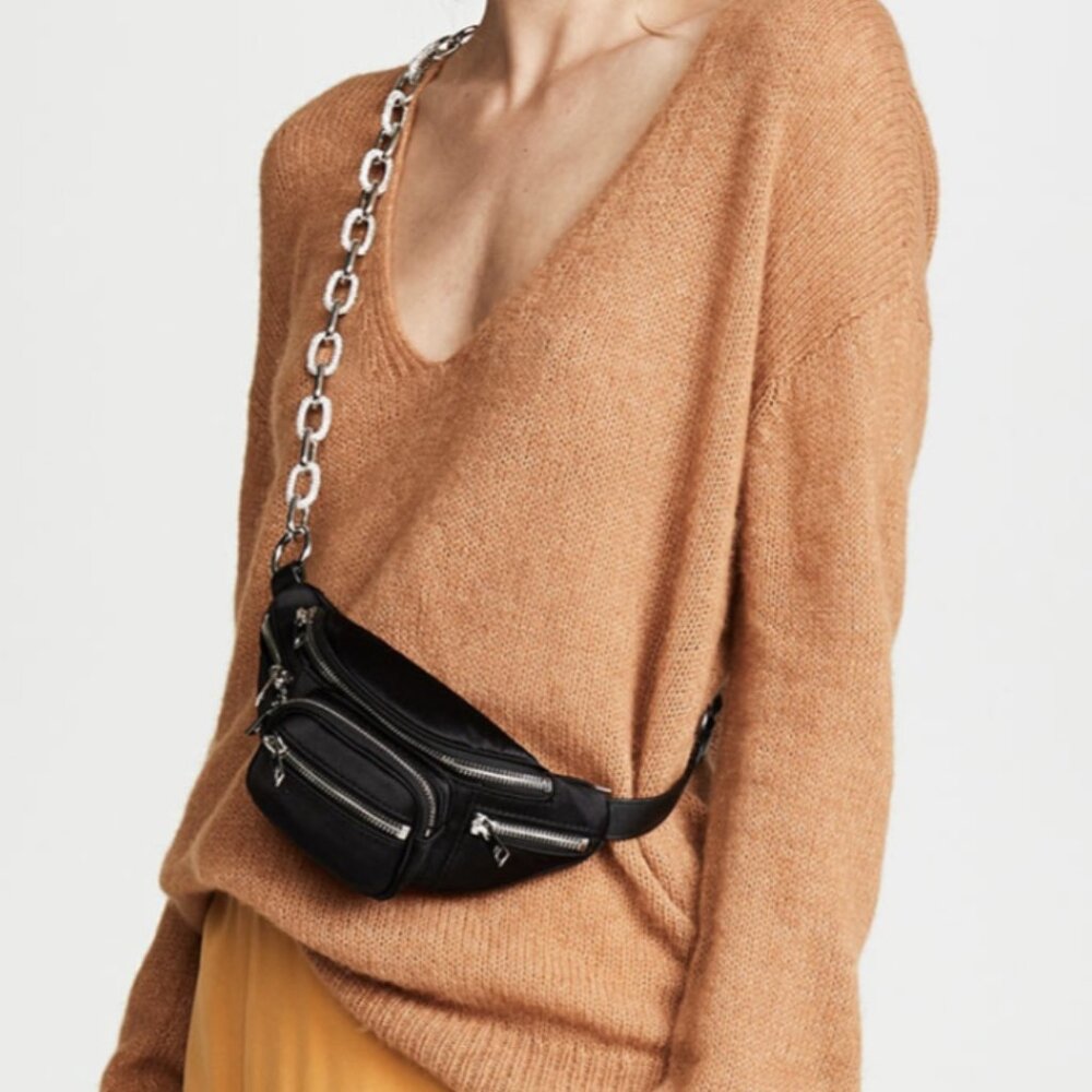 Description Alexander Wang Belt Bag mini size